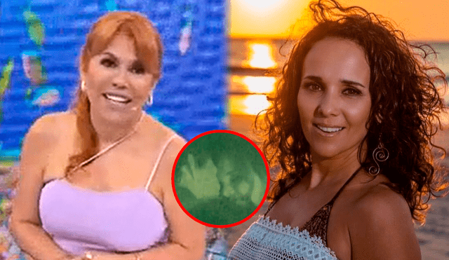 Magaly Medina logró capturar a detalle el nuevo romance que está viviendo la actriz Érika Villalobos. Foto: Composición LR / Captura ATV / Instagram / Erika Villalobos