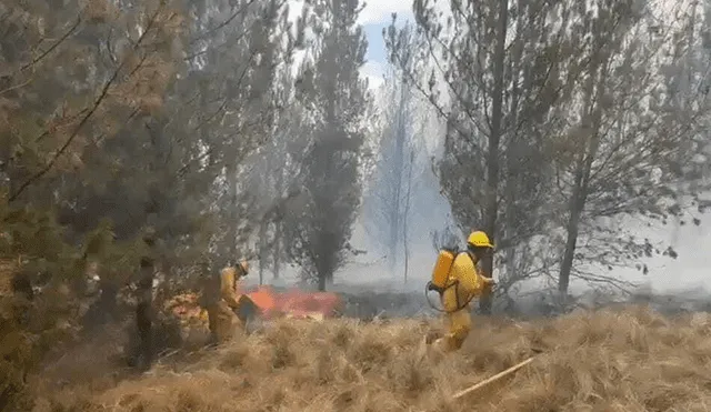 Los incendios forestales perjudican los ecosistemas. Foto: Betzabé Macedo