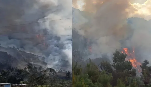 La Municipalidad de Chalamarca, en coordinación con COER Cajamarca, deberá hacer una evaluación de incendio forestal en varios sectores. Foto: difusión