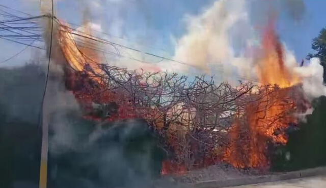 El incendio causó daños materiales. Foto: captura/Diario Panorama Cajamarquino - Video: Diario Panorama Cajamarquino