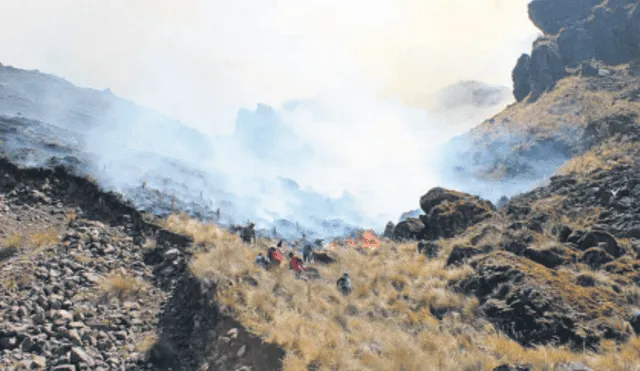 Fuego se propaga por zona adyacente en la carretera Interoceánica. Foto: La República