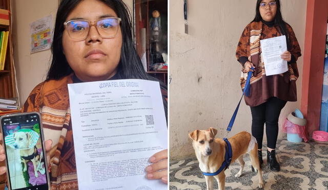 Piden justicia para Molly, perrita que fue abusada sexualmente en Chorrillos. Foto: composición LR/Rosario Rojas/La República - Video: Rosario Rojas/La República