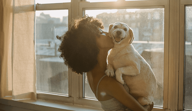 Se realizaron pruebas con resonancia magnética y descubrieron la preferencia de los perros ante las voces de las mujeres. Foto: Pexels