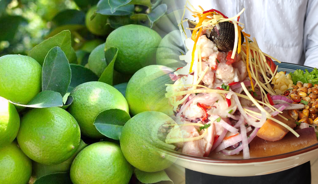 ¿Cómo afectó el incremento del precio del limón a las cevicherías?. Foto: composición de Fabrizio Oviedo/La República