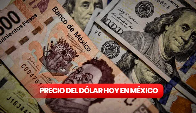 Precio del dólar en México para hoy, domingo 3 de septiembre. Foto: composición LR/AFP