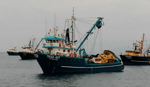 El Imarpe, actualmente, está llevando a cabo un seguimiento de la reproducción de la anchoveta. Foto: Andina