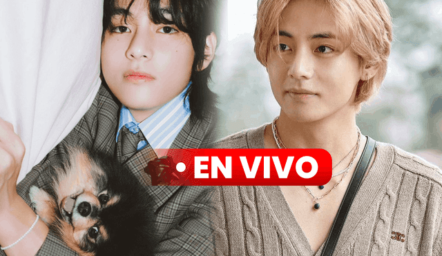 A puertas de debutar como solista, Taehyung de BTS saldrá en el popular canal online 'Pixid'. Foto: composición LR/Hybe