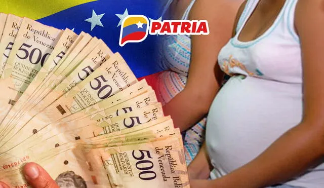 Revisa AQUÍ todo sobre este nuevo pago en Patria. Foto: composición LR/El Estímulo/Patria/Freepik