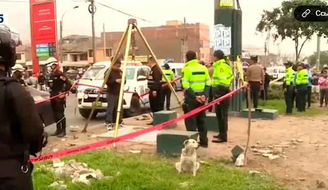 Mascota permanece en la zona del accidente. Foto: captura Canal N