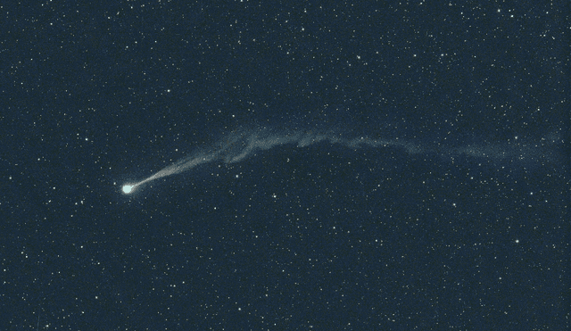 Cometa Nishimura, captado el 2 de septiembre de 2023 con un telescopio de 11 pulgadas y 8 tomas de 20 segundos cada una. Foto: Michael Jager