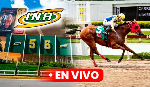 Este domingo 3 de septiembre se correrá la reunión número 34 del año en el Hipódromo La Rinconada. Foto: composición LR / INH