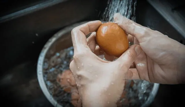 Una higiene inadecuada en el consumo de huevos puede ocasionar salmonelosis. Foto: difusión