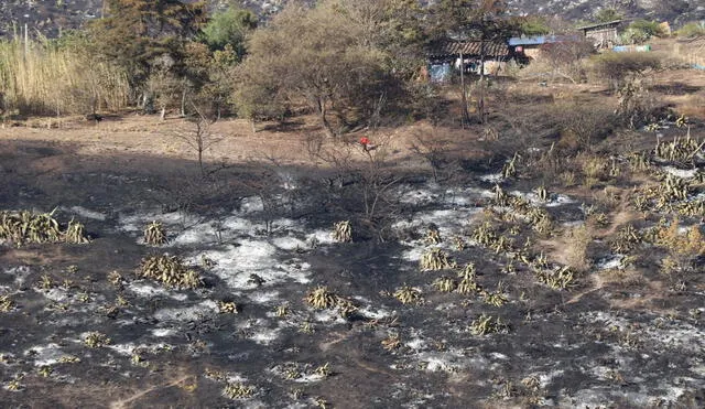 Bomberos, policías y vecinos acudieron a apagar fuego en sector Callacpuma. Foto: La República