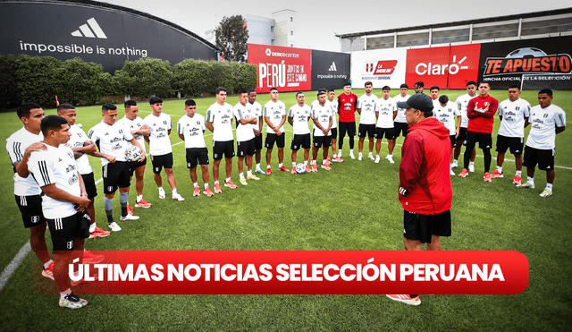 La selección peruana enfrentará a Paraguay y Brasil por la fecha doble de septiembre. Foto: X/La Bicolor