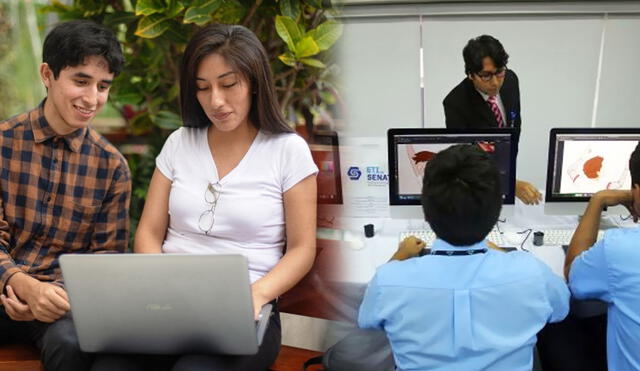 Conoce cuáles son las carreras profesionales que puedes aprender por internet de forma rápida y sencilla. Foto: composición LR/Andina