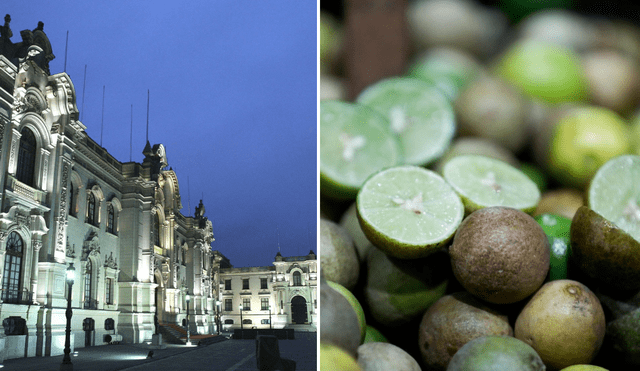 Se revela que Palacio compró limones de primera calidad a altos precios. Foto: composición La República