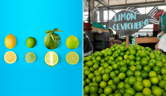 Todas la variedades del limón. Foto: composición LR/EMMSA/Buenazo