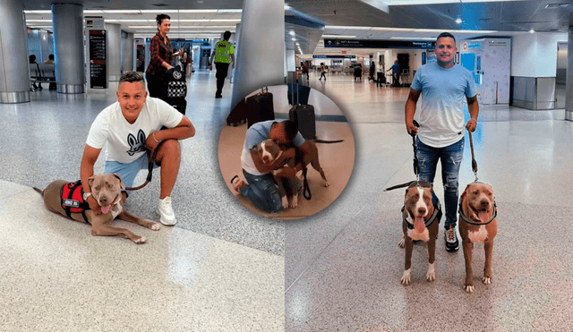 Mediante su cuenta de TikTok compartió 2 videos de su reencuentro con su perros. Foto: Luis Horacio Camejo/TikTok