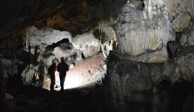 La diferencia morfológica del resto fósil llamó a la atención de los científicos. "Enseguida vi que no era un bebé neandertal", aseguró uno de ellos.Foto: referencial / Diario Sur