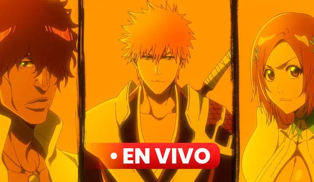 Ver Bleach temporada 1 episodio 2 en streaming