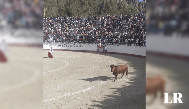 El evento se desarrolló como parte de las actividades en honor a la Virgen de Cocharcas. Foto: Noticias Mercurio