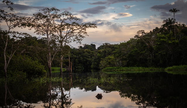 WWF celebra acuerdo entre Gobiernos de Estados Unidos y Perú para el canje de deuda por más de US$ 19 millones a favor de la conservación de la Amazonía peruana
