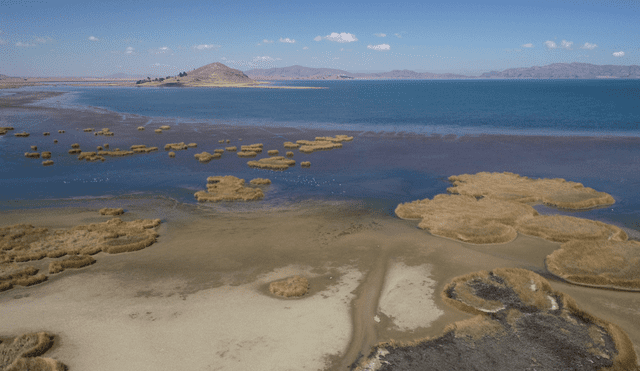 Desciende nivel de las aguas del lago Titicaca. Foto: La República/archivo
