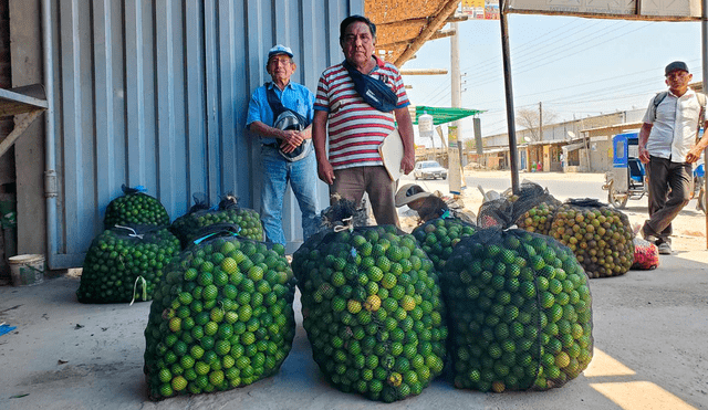 Situación podría agravar la crisis del limón en nuestro país. Foto: Almendra Ruesta/La República