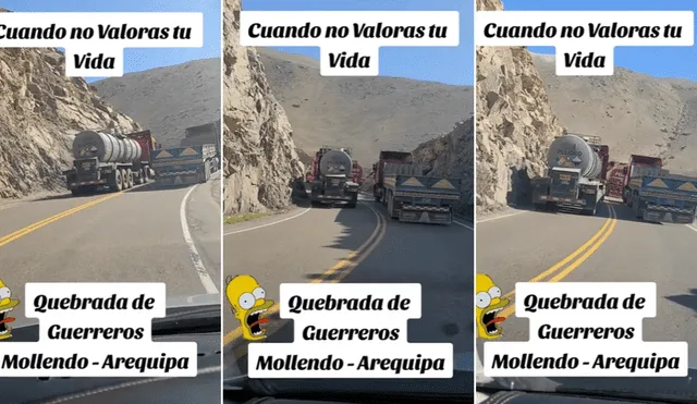 El hecho ocurrió en la vía Mollendo - Arequipa. Foto: composición LR/@lobitogris2020 - Video: @lobitogris2020