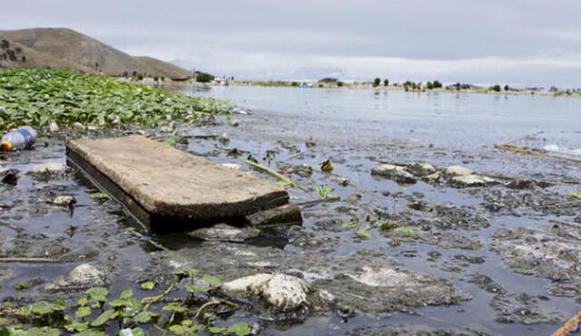 Contaminación del lago Titicaca se agrava. Foto: La República