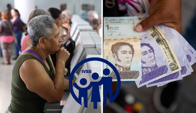 Revisa la fecha de pago y el monto que recibirán los pensionados este mes. Foto: composiciónLR/El Diario/Run Run/IVSS