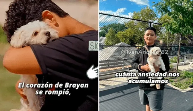 Los usuarios quedaron muy contentos al ver que Bryan y su perrita están juntos de nuevo. Foto: composición LR/TikTok/@ivanandres_82