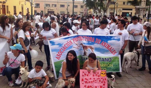 Los vecinos rechazan enérgicamente cualquier forma de maltrato animal. Foto. Andina/Referencial