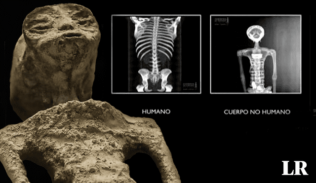 Un grupo de expertos afirma que estos supuestos cadáveres forman parte de una especie desconocida. Fotos: Congreso de México / composición de Álvaro Lozano