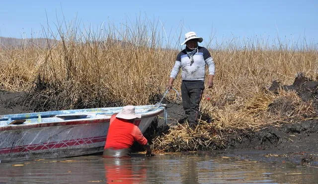 Sequía extrema  Lago Titicaca