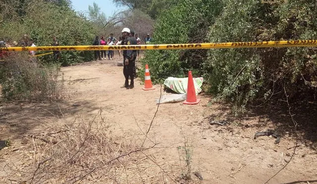 Policía acordonó zona donde hallaron los cadáveres. Foto: Yolanda Goicochea LR