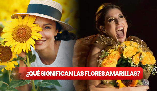 Las flores amarillas se regalan en Argentina en septiembre. Foto: composición LR/ Telemetro/ CrushPixel