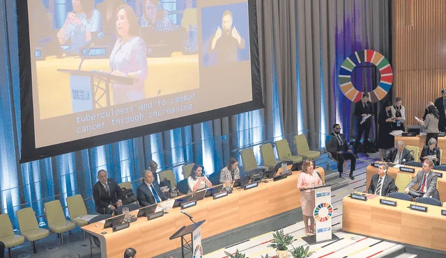 Presentación. Boluarte tuvo su primera intervención en Naciones Unidas en la Cumbre de los Objetivos de Desarrollo Sostenible con un breve discurso en que destacó políticas del Gobierno. Foto: difusión