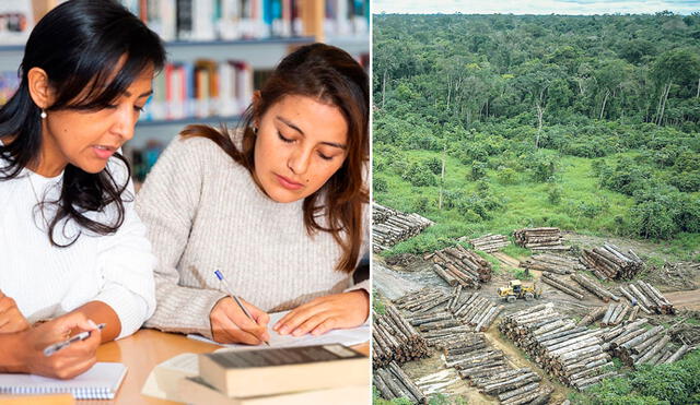 Estudiantes deberán hacer incidencia en problemas que afectan la naturaleza. Foto: composición La República/difusión