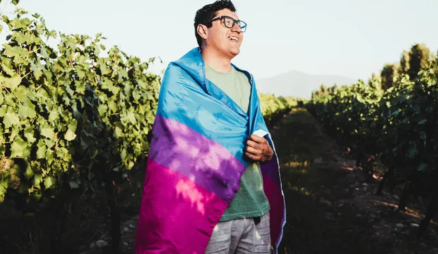 Rosado, morado y azul son los colores de la bandera que representan a la comunidad bisexual. Foto: Canva