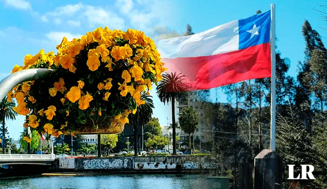 La primavera en Chile inicia en una fecha distinta al del día de las flores amarillas. Foto:  composición LR/Agencia Uno