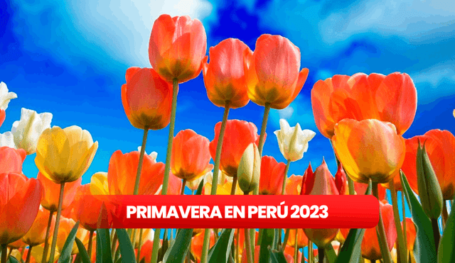 La Primavera en el Perú inicia el 23 de septiembre. Foto: Pixabay