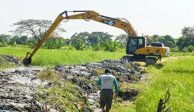 Muchos cultivos se vieron afectados durante por las inundaciones de marzo. Foto: La República