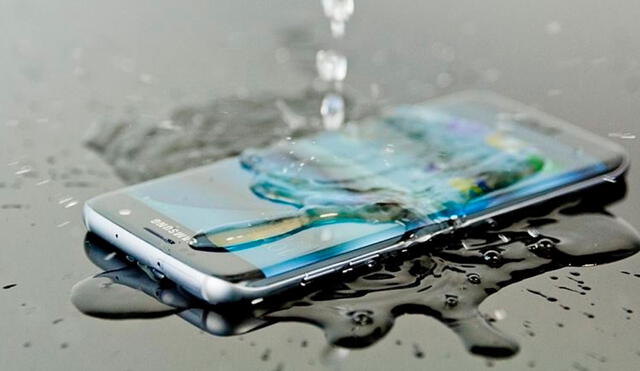 Muchos teléfonos modernos son resistentes al agua. Foto: La Nación