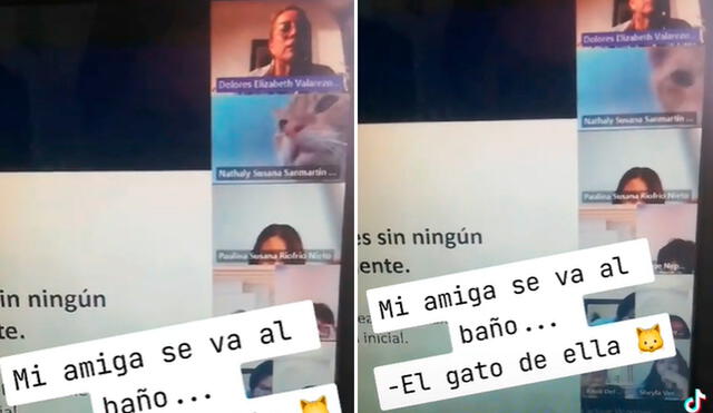 Los usuarios de TikTok quedaron enternecidos al ver la escena. Foto: composición LR/TikTok/@paushhhh