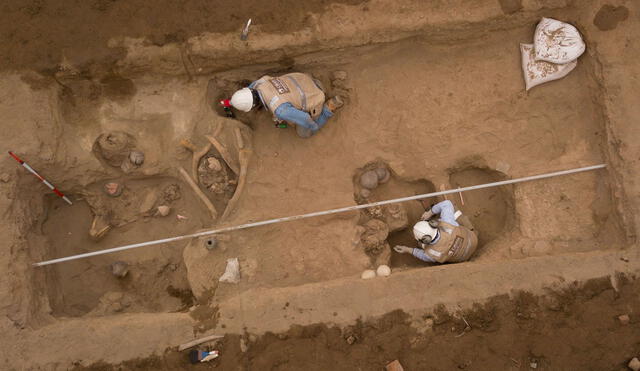 Los restos fósiles de dos bebés permanecían junto a otros cuatro menores. Foto: AFP