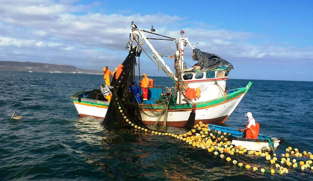 Perú ya no ocupa el primer puesta en la pesca de pota tras ser desplazado por China. Foto: difusión