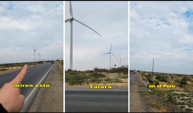 La joven se quedó impresionada por la planta de energía eólica. Foto: composición LR/TikTok/@Soyangelicachaves