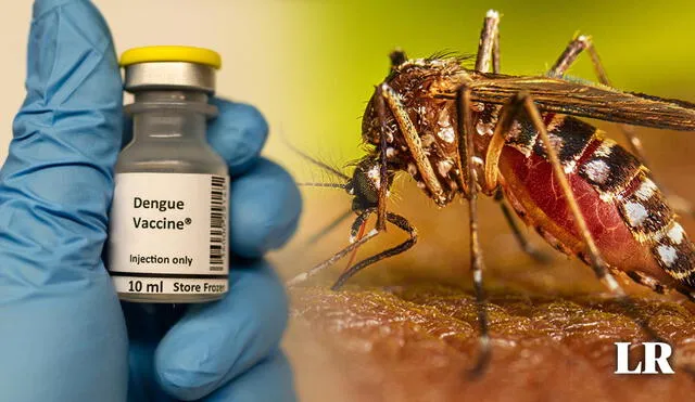 Primera vacuna contra el dengue esta recomendada para menores entre los 4 a los 16 años. Foto: composición LR/Manjurul/CDC
