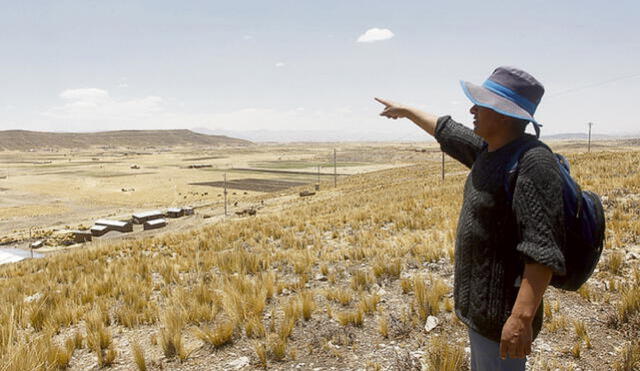 Decenas de hectáreas dejaron de sembrarse en Puno por déficit hídrico. Foto: La República